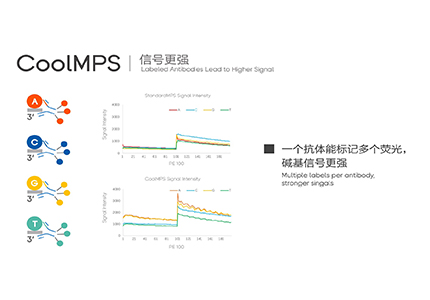 碱基识别，我要无损的 | 华大智造CoolMPS高通量测序试剂套装圣诞开售