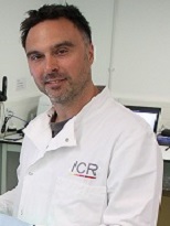 Dr. Nik Matthews