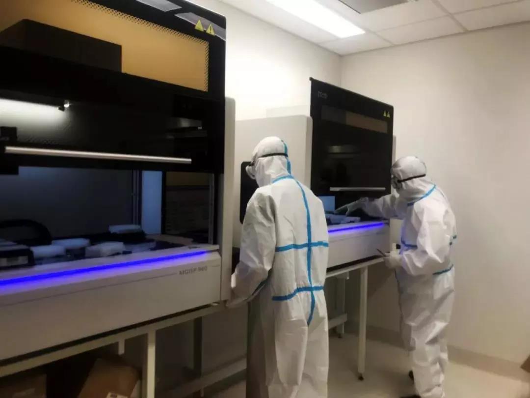 华大智造高通量检测设备驰援澳大利亚11座“火眼”实验室 将该国新冠病毒检测能力提升3倍