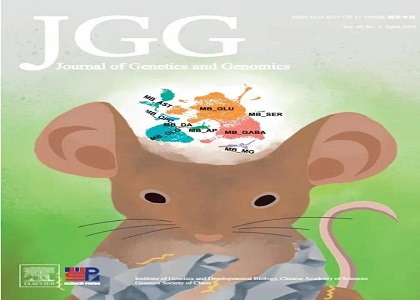 赋能科研 | 华大智造测序平台助力帕金森疾病单细胞研究，相关成果入选JGG杂志封面