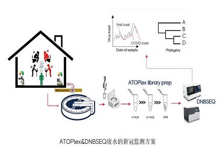 在南非废水发现Omicron！华大智造ATOPlex技术 + DNBSEQ平台革新废水流行病学研究方法