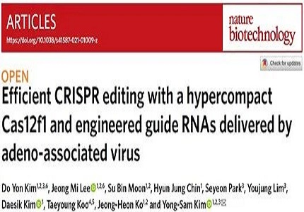赋能科研 | NBT研究成果出炉，华大智造DNBSEQ-T7助力CRISPR基因编辑系统升级