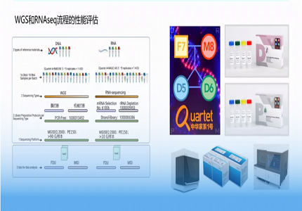 引入中华家系1号作标准物质，华大智造推动高通量测序流程标准化建设