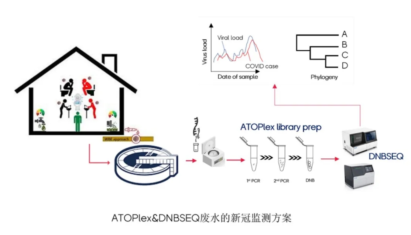 在南非废水发现Omicron！华大智造ATOPlex技术 + DNBSEQ平台革新废水流行病学研究方法